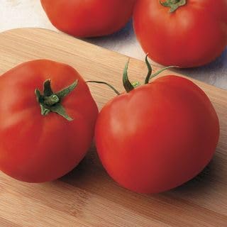 Park Seed Variety of Tomato Seeds, Planting Vegetables, Easy to Grow, Non-GMO, Perfect for Harvesting, Big Yummy Hybrid, Pack of 1000