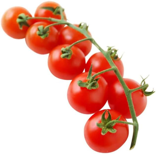 HipGirl Heirloom Large Red Cherry Tomato Seeds - Non-GMO, Indeterminate Vining Tomato for Planting - 40ct+ High Germination Garden Seeds for Indoor, Outdoor, & Hydroponic Gardening