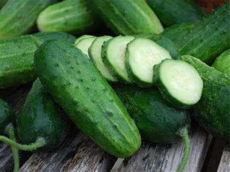100 Organic Boston Pickling Cucumber Seeds for Planting 3 Grams of Seeds Heirloom Non GMO USA Harvested Survival Garden