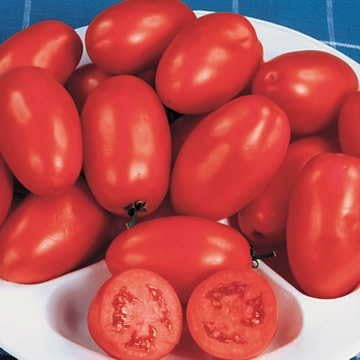Park Seed Variety of Tomato Seeds, Planting Vegetables, Easy to Grow, Non-GMO, Perfect for Harvesting, Roma Organic, Pack of 30