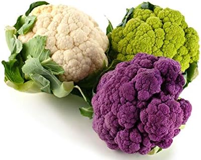 Seeds Cauliflower Mix Cabbage Heirloom Vegetable for Planting Non GMO