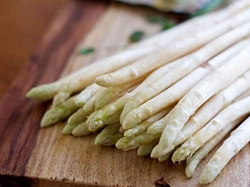 50+ Seeds Asparagus (Sparrow Grass) - Vegetable White