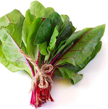Detroit Dark Red Beet Seeds, Pack of 50 Vegetables Seeds for Plating