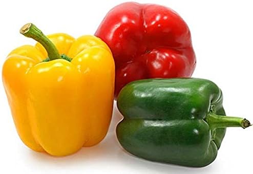 Seeds Sweet Bell Pepper Rainbow Mix Non GMO Vegetable for Planting