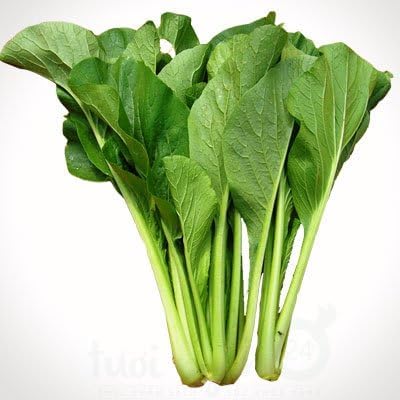2500+ Seeds Brassica Juncea Choy Sum Mustard Yu Choy Sum Seeds, USA Chinese Broccoli Scallion Chive Asian Vegetable, Cải NGỌt ăn bông (Cải Ngồng) Diaspora