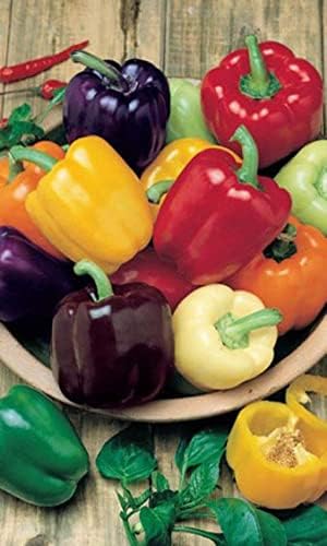 40+ Seeds Sweet Bell Pepper Rainbow - Vegetable Mix
