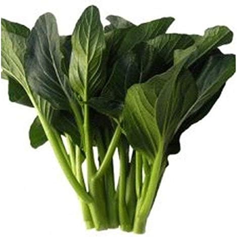 Jung Green Yu Choy Seeds - Produces Dark Green Leaves and is Tolerant to Heat.(25 - Seeds)