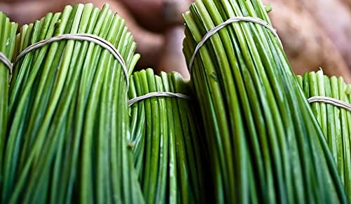 400+ Seeds Garlic Chives Onion - Vegetable Green