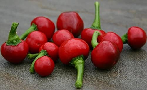 Seeds Red Hot Cherry Pepper Vegetable for Planting Heirloom Non GMO