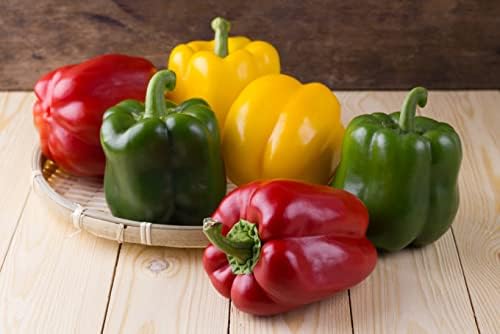 40+ Seeds Sweet Bell Pepper Rainbow - Vegetable Mix