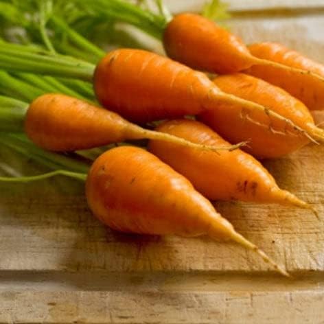 Carrot Seeds (Organic) - Chantenay Red Cored - Packet - Vegetable Seeds, Heirloom Seed, Open Pollinated Seed, Organic Seed Easy to Grow & Maintain, Root Vegetable, Culinary