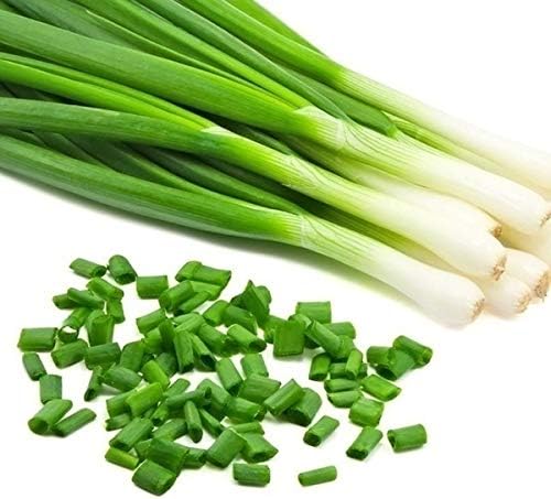 3500+ Long Green Scallion Seeds for Planting, Bunching Long Green Onion Seeds, Non-GMO Organic Heirloom Scallion Seeds