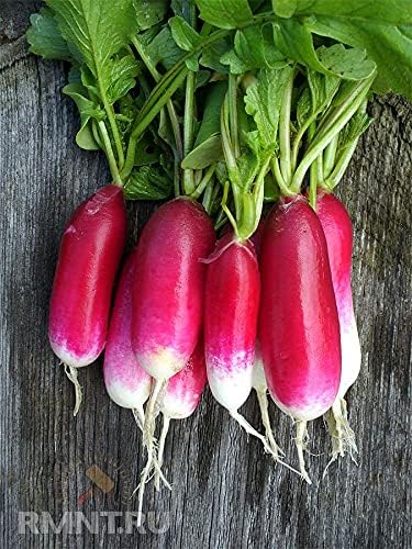 Seeds French Radish 18 Days Early Heirloom Vegetable for Planting Non GMO