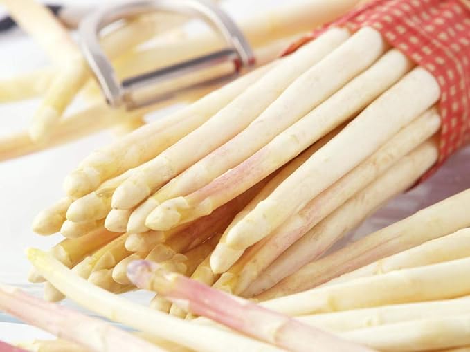 50+ Seeds Asparagus (Sparrow Grass) - Vegetable White