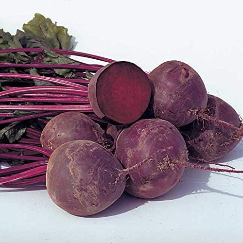 Park Seed Beet Vegatable Plant Seeds, Easy to Grow, Variety of Colors, Spring Garden, Boro Hybrid Organic, Pack of 200