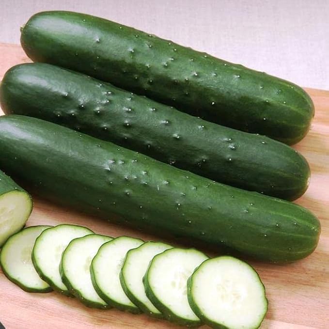 10+ Seeds Indoor Cucumber Zozula F1 Self-Pollinating - Vegetable Green