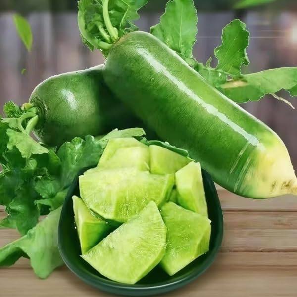 Green Skin Sweet Radish Seeds for Planting, 100+ Green Turnip Radish Seeds, Super Sweet & Crisp Fruit Radish, Fast Growing Heirloom Vegetable Seeds for Home Garden, Easy to Grow Non-GMO Seeds
