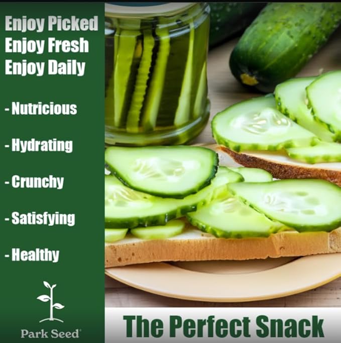 Park Seed Variety of Cucumber Seeds, Planting Cucumbers, Vegetable Seeds, Easy to Grow, Non-GMO, Perfect for Harvesting, Diva, Pack of 30