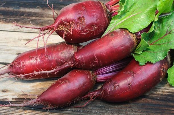Cylindra Beet Seeds for Planting, 100 Heirloom Seeds, Non-GMO Sweet Beet Seeds for Sprouting, Cylindrical Shape for Easy Slicing & High Yield, Perfect for Planting Indoor & Outdoor Gardens