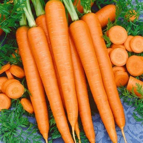 3,000 Imperator 58 Carrot Seeds for Planting Microgreens Organic Non GMO Heirloom