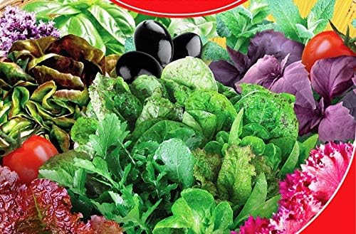Seeds Vegetable Indoor Mix of Italian Lettuce and Spicy Crops Year-Round (Romaine, Frise, Arugula, Lollo Bionda, Lolla Rossa, Traditional Lettuce) Heirloom for Salads - 1000 Seeds
