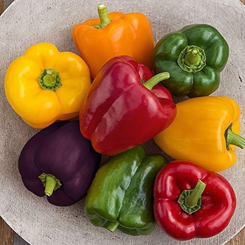 Seeds Sweet Bell Pepper Rainbow Mix Non GMO Vegetable for Planting