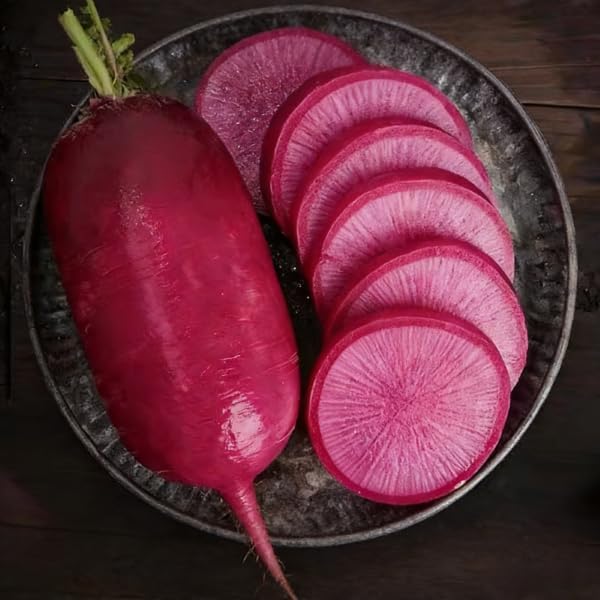 Cylindra Beet Seeds for Planting, 100 Heirloom Seeds, Non-GMO Sweet Beet Seeds for Sprouting, Cylindrical Shape for Easy Slicing & High Yield, Perfect for Planting Indoor & Outdoor Gardens