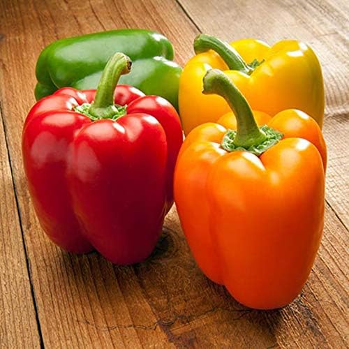 Seeds Sweet Bell Pepper Rainbow Mix Non GMO Vegetable for Planting