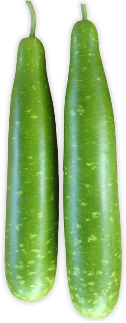 Bottle Gourd (Calabash) Nice Green Variety Seeds – High Yield Non-GMO Bangladeshi Lau (Lagenaria siceraria) | Long Smooth Gourd Seeds for Home Garden, Trellis, and Warm Climate (0.35 OZ (60+ Seeds))