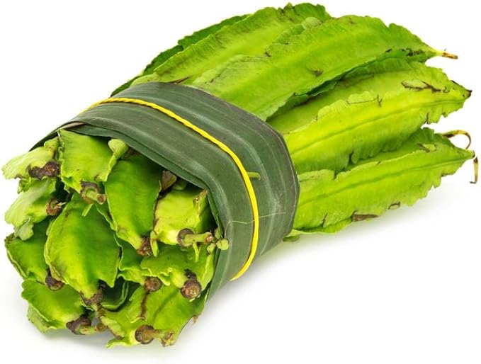 Winged Bean Seeds for Planting, Organic, Heirloom, Non-GMO - 30 Seeds USA Premium Four Angled, Princess Bean Seeds, High-Yielding Vine for Tropical Gardens, Containers & Unique Edible Pods