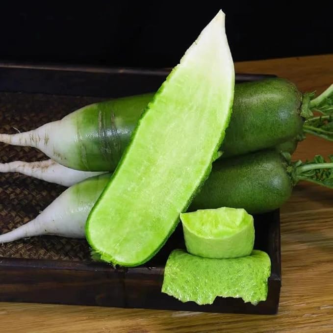 Green Skin Sweet Radish Seeds for Planting, 100+ Green Turnip Radish Seeds, Super Sweet & Crisp Fruit Radish, Fast Growing Heirloom Vegetable Seeds for Home Garden, Easy to Grow Non-GMO Seeds