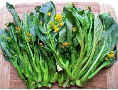 2000+ Seeds Brassica Juncea Choy Sum Mustard Yu Choy Sum Seeds, USA Chinese Broccoli Scallion Chive Asian Vegetable, Cải NGỌt ăn bông (Cải Ngồng)