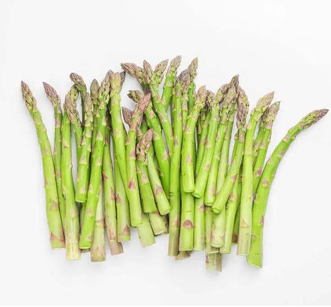 500+ Mary Washington Asparagus Seeds for Planting, Heirloom Non-GMO Seeds, Premium Asparagus Seeds Organic for Perennial Vegetable Garden, Organic Asparagus Seeds for Planting Outdoors