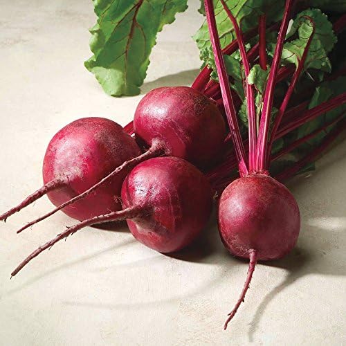 Park Seed Beet Vegatable Plant Seeds, Easy to Grow, Variety of Colors, Spring Garden, Merlin Hybrid, Pack of 200