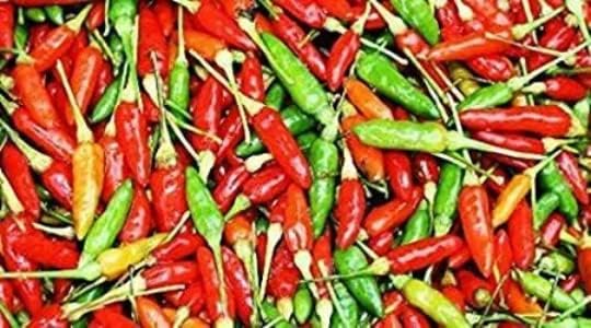 Bird's Eye Chili Pepper 25+ Seeds (Very Hot) Siling Labuyo