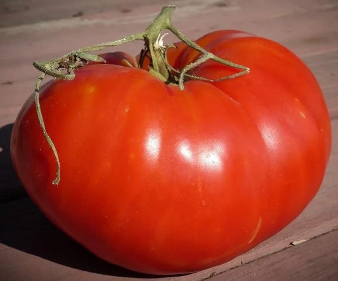 40+ Seeds Giant Beefsteak Tomato - Vegetable Red