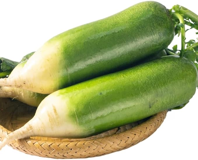 Green Skin Sweet Radish Seeds for Planting, 100+ Green Turnip Radish Seeds, Super Sweet & Crisp Fruit Radish, Fast Growing Heirloom Vegetable Seeds for Home Garden, Easy to Grow Non-GMO Seeds