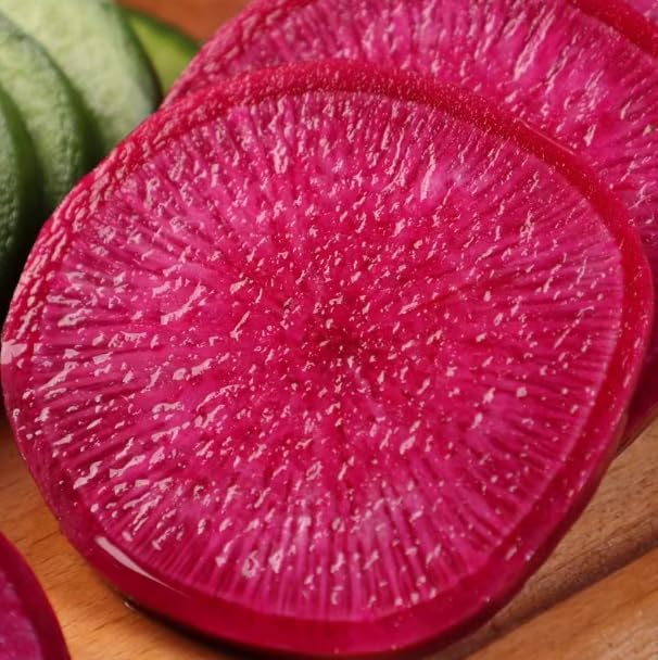 Cylindra Beet Seeds for Planting, 100 Heirloom Seeds, Non-GMO Sweet Beet Seeds for Sprouting, Cylindrical Shape for Easy Slicing & High Yield, Perfect for Planting Indoor & Outdoor Gardens