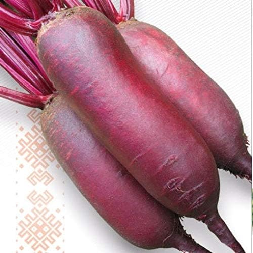 Seeds Beet Long Beetroot Dark Rival Red Non GMO Vegetable for Planting