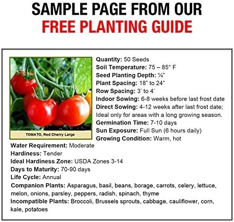 Heirloom Vegetable Seeds Non GMO Survival Seed Kit - Part of Our Legacy and Heritage - 50 Varieties 100% Naturally Grown- Best for Gardeners Who Raise Their Own Healthy Food
