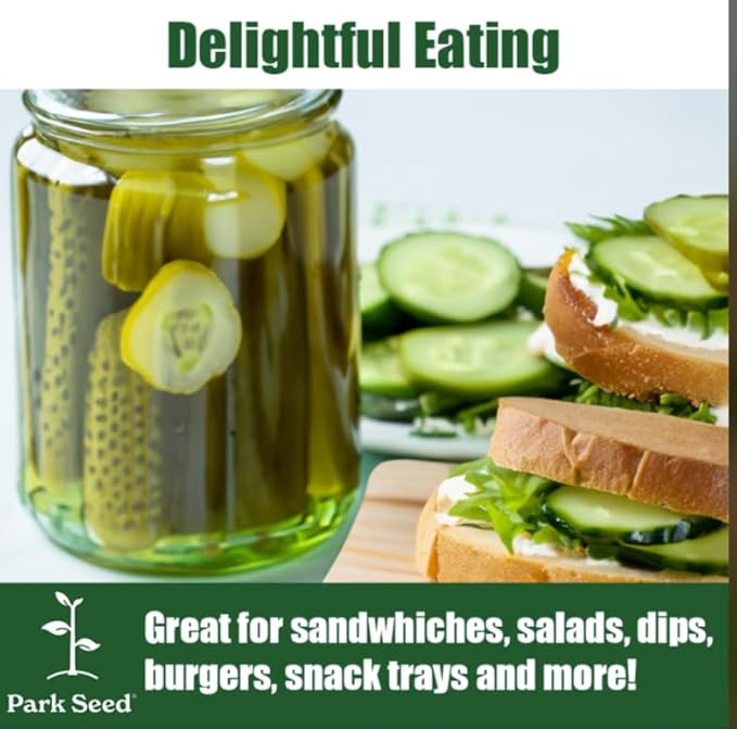 Park Seed Variety of Cucumber Seeds, Planting Cucumbers, Vegetable Seeds, Easy to Grow, Non-GMO, Perfect for Harvesting, Diva, Pack of 30