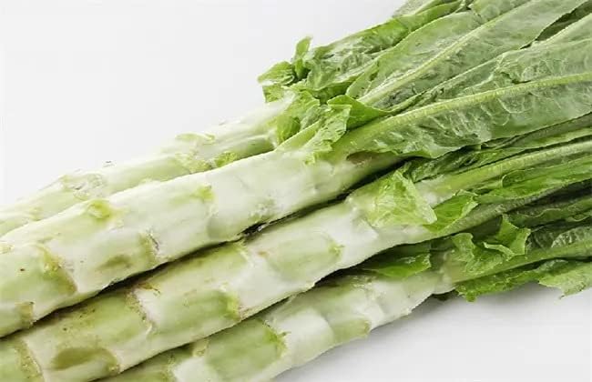 1000 USDA Certified Organic Chinese Stem Lettuce Seeds Celtuce Seeds, Produce of USA, Non-GMO, 莴笋