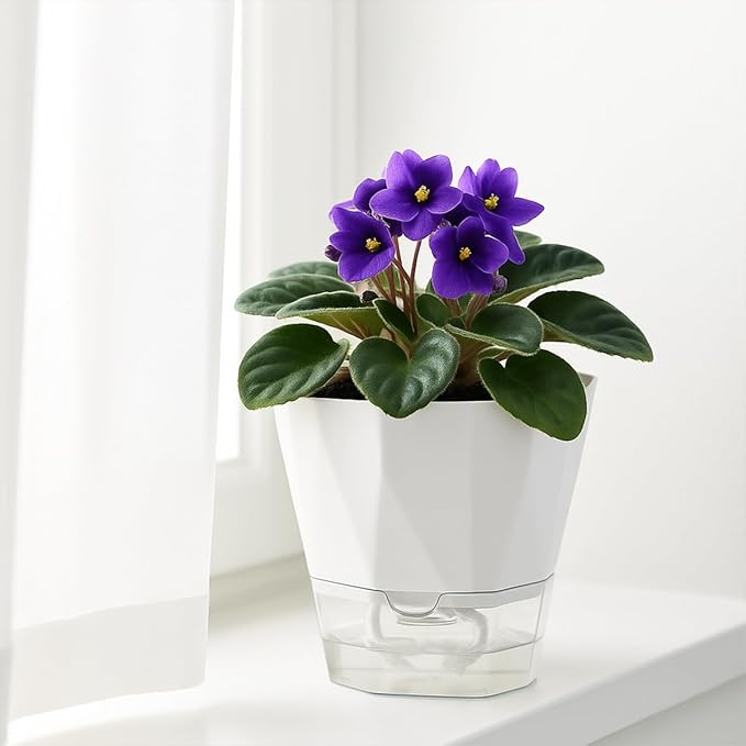 12 Pack Self Watering Plant Pots 6 Inches Self-Watering Planters for Indoor and Outdoor Plants African Violet Succulent Pots Clear Pot for Plants Large Herb Orchid Flower Houseplant Plant, White