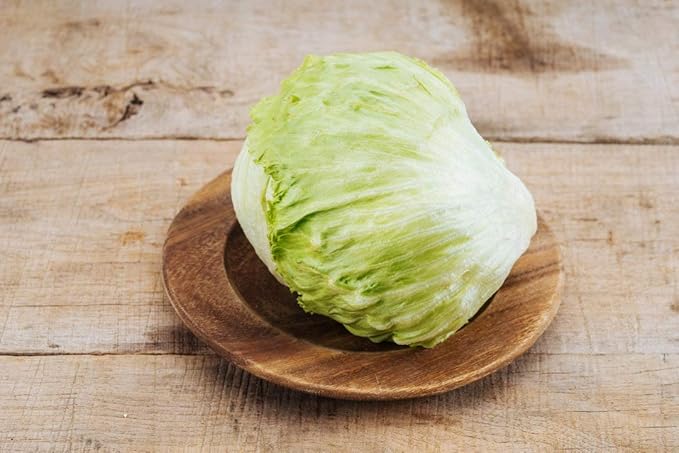 Seeds Crisphead Iceberg Lettuce Green Buttercrunch for Salad Non GMO Vegetable for Planting 1000 Seeds
