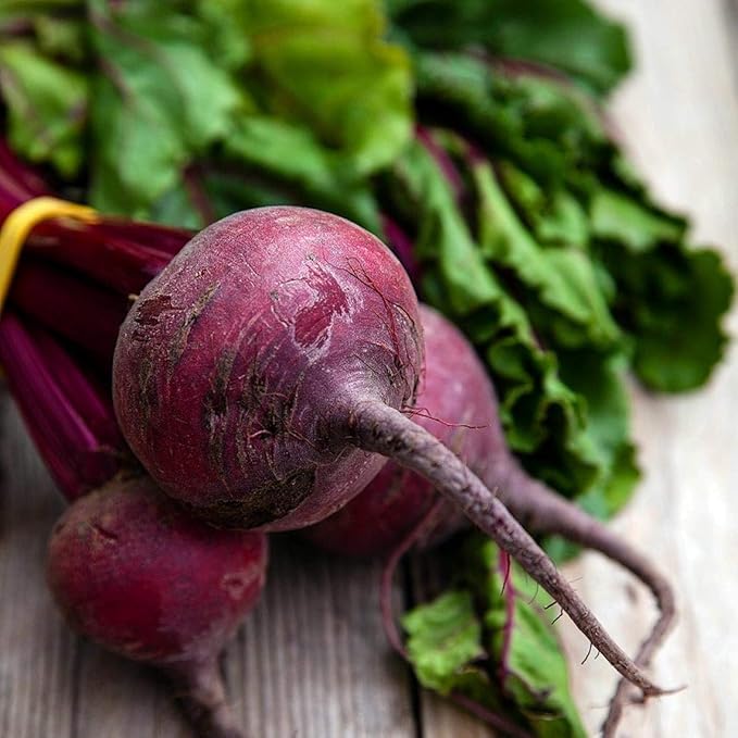 1200 Detroit Dark Red Beet Seeds for Planting 1 Ounce of Seeds Organic Non GMO and Heirloom Survival Vegetable Garden Bulk Seeds