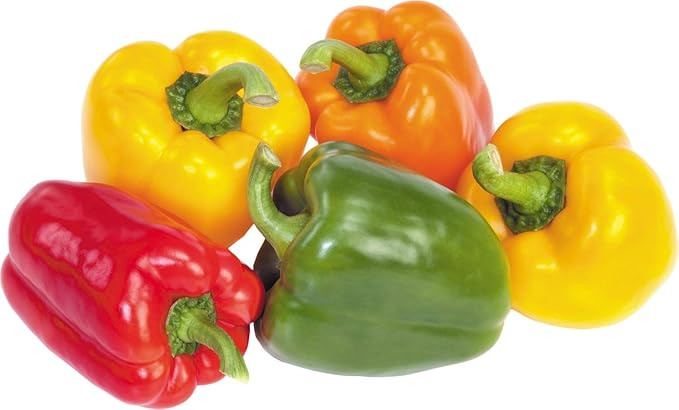 Seeds Sweet Bell Pepper Rainbow Mix Non GMO Vegetable for Planting