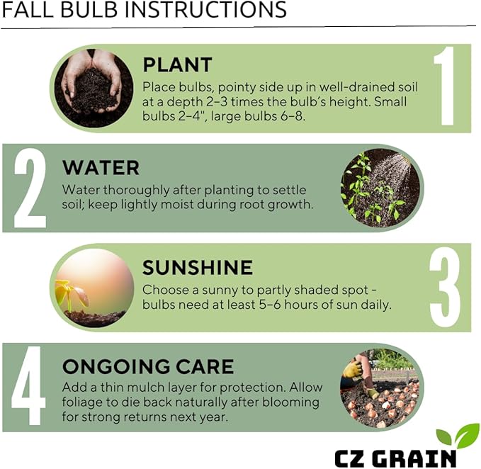 Constellation Caladium Bulbs for Planting - Perennial Hosta, Elephant Ears, Fancy (10 Bulbs)