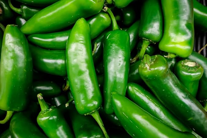 120 Organic Hot Jalapeno M Pepper Seeds Heirloom Non GMO Garden Vegetable Bulk Survival