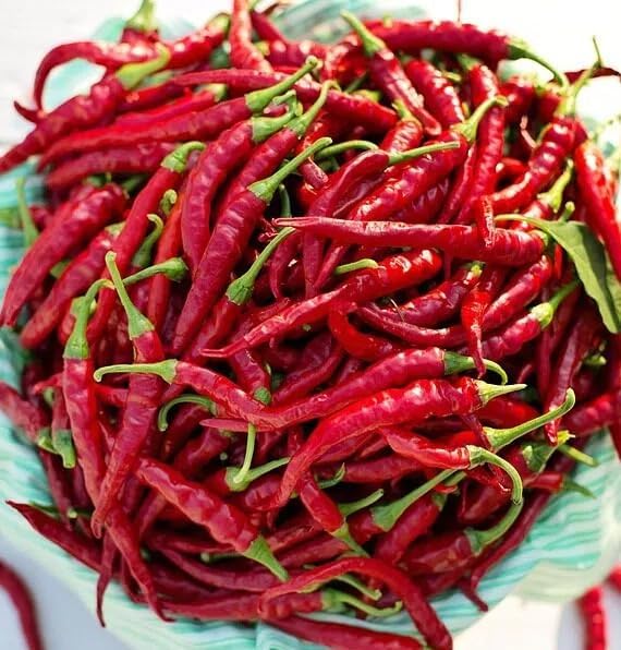 Cayenne Pepper Seeds for Planting, 200 Hot Pepper Seeds Cayenne Jalapeno, Non-GMO Long Slim Cayenne Hot Pepper Seeds Indoor & Outdoor, Heirloom Cayenne Pepper Seeds Bulk for Home Garden