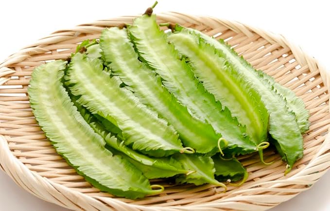 Winged Bean Seeds for Planting, Organic, Heirloom, Non-GMO - 30 Seeds USA Premium Four Angled, Princess Bean Seeds, High-Yielding Vine for Tropical Gardens, Containers & Unique Edible Pods